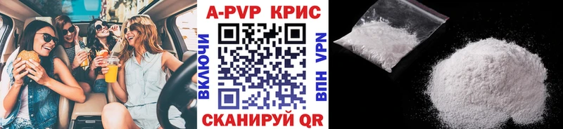 Альфа ПВП СК Кондопога
